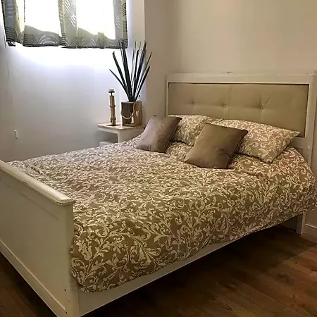 Edera E Camelie بومبيي