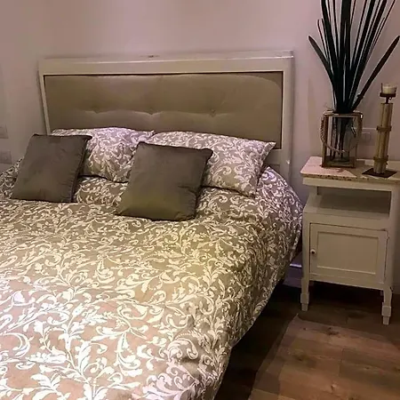 Edera E Camelie بومبيي